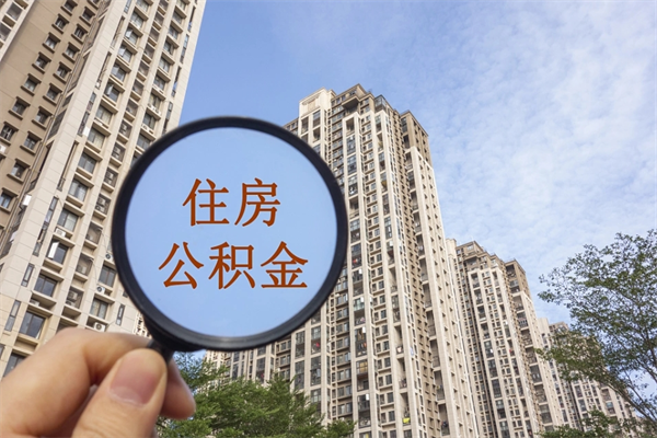 南城公积金的提（&quot;公积金提取&quot;）